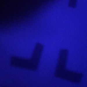 Meet your Posher, Timothy